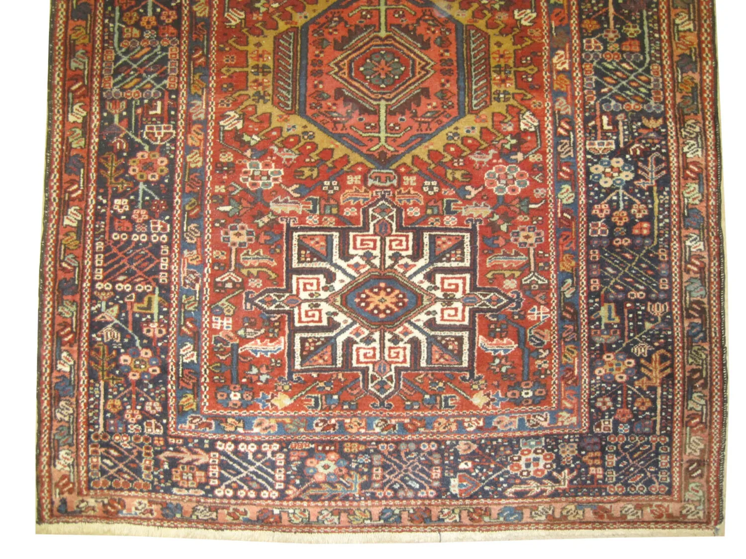 Karadja Persian - Image 3
