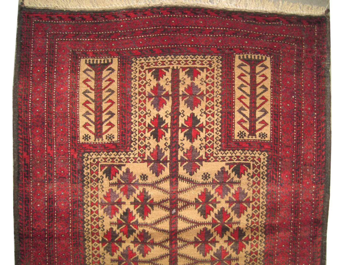 Belutsch Persian - Image 2