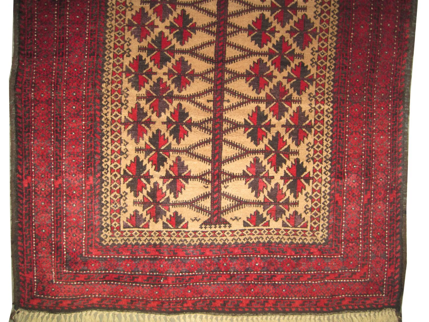 Belutsch Persian - Image 3