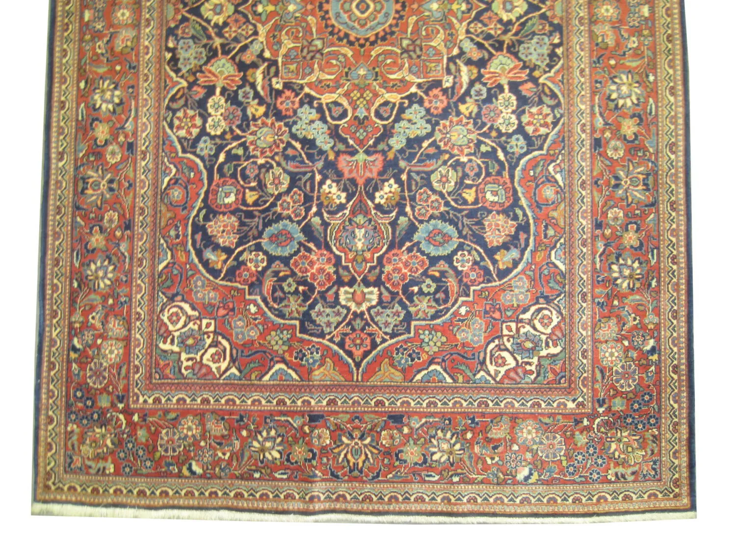 Kashan Persian - Image 4