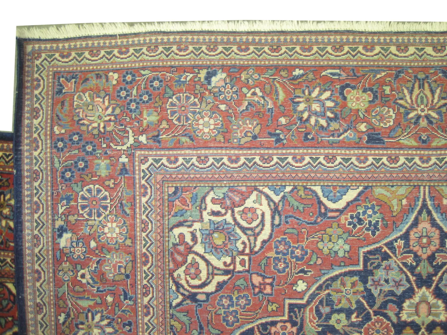 Kashan Persian - Image 2