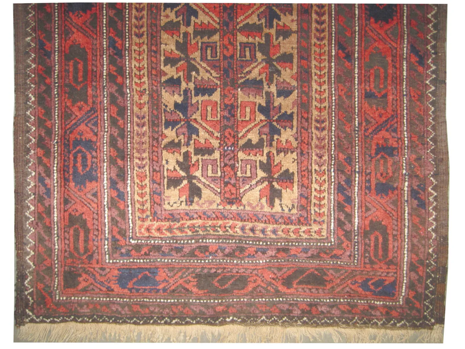 Belutsch Persian - Image 3