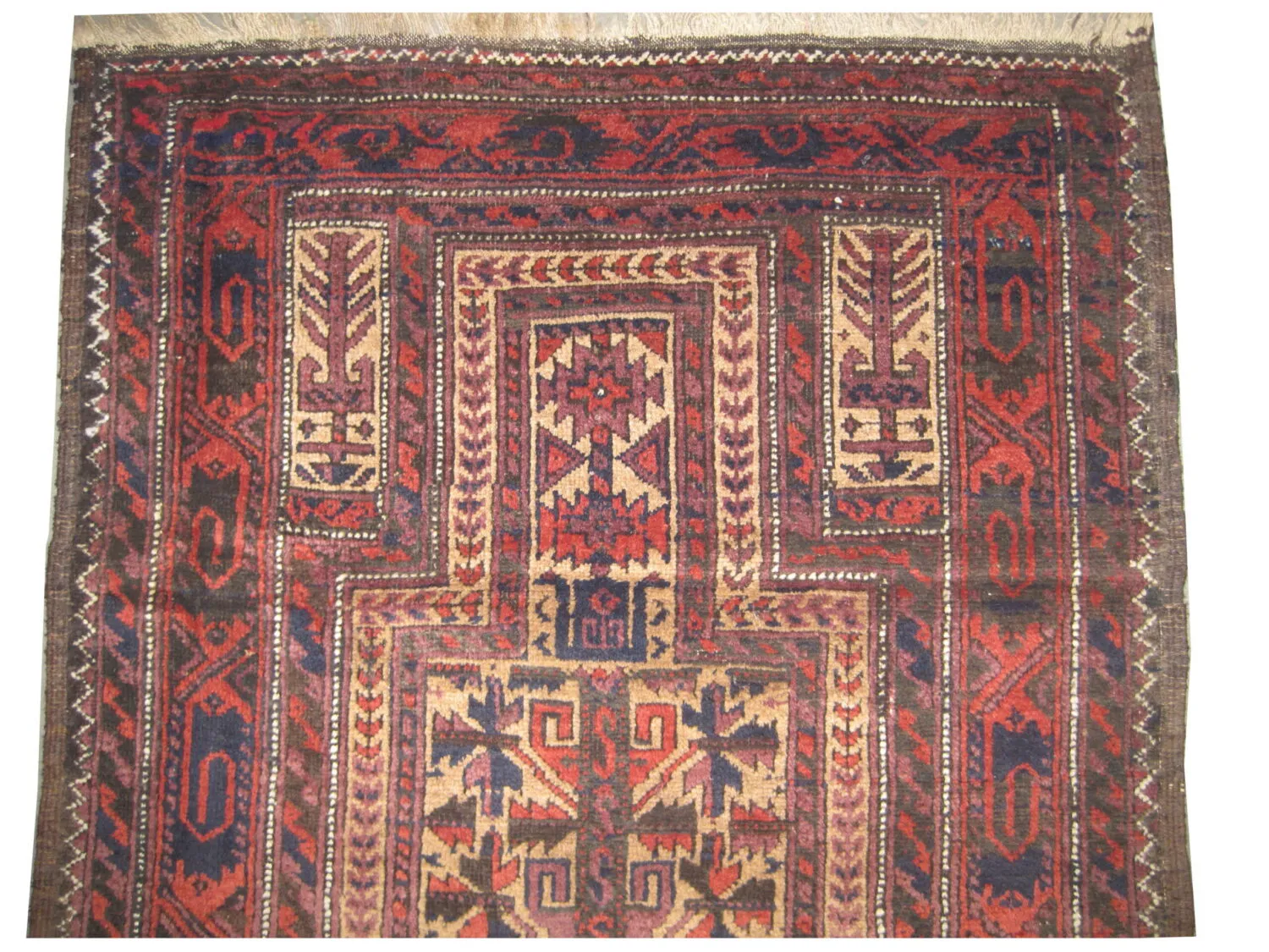 Belutsch Persian - Image 2
