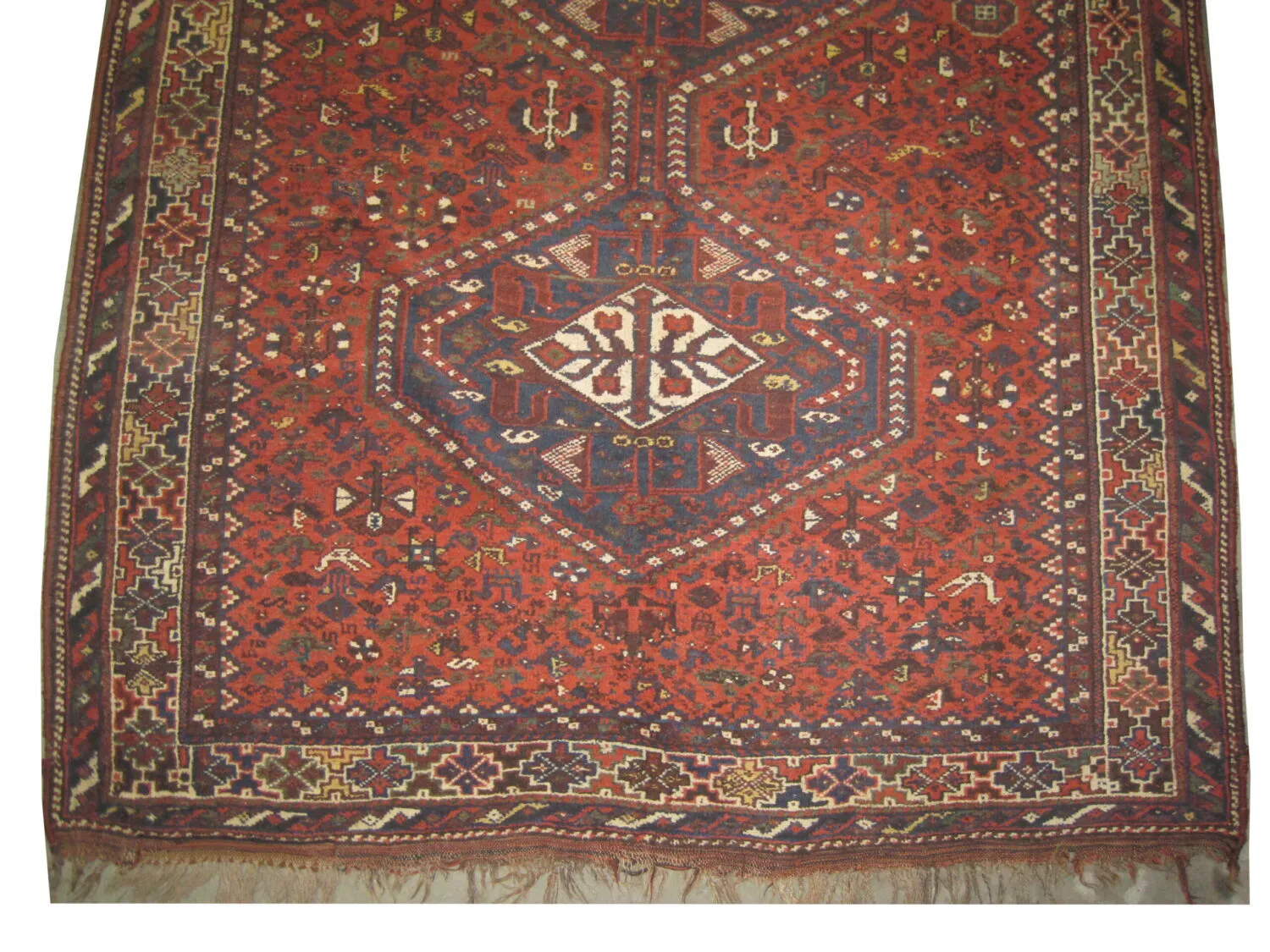 Shiraz Persian - Image 3