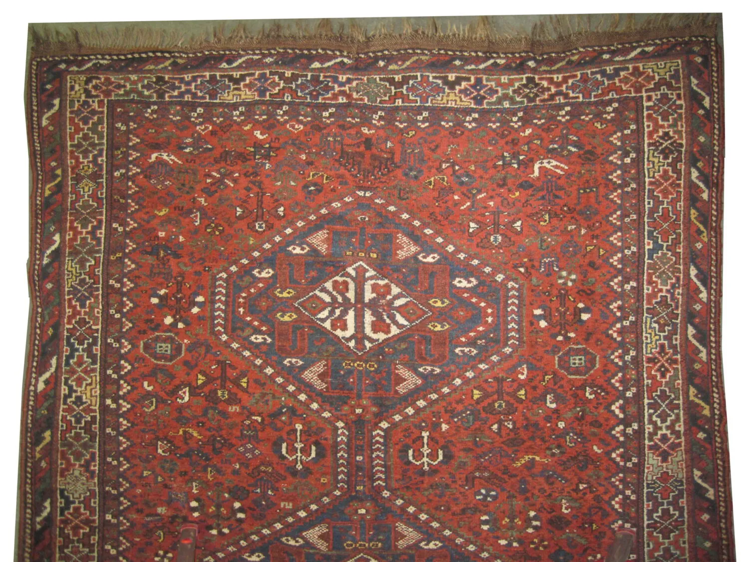 Shiraz Persian - Image 2