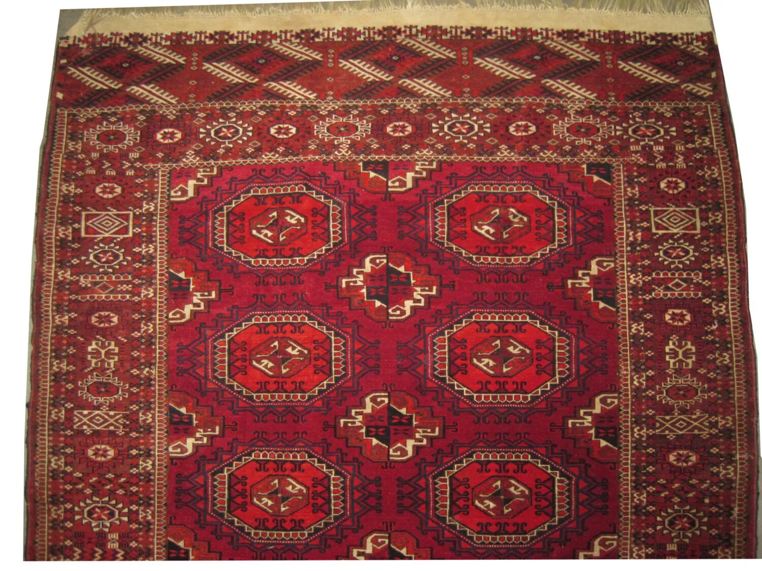 Salor Turkmen - Image 2