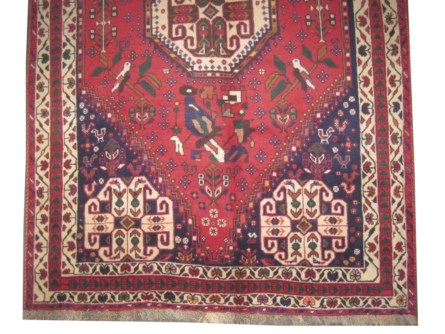 Qashqai Persian - Image 3