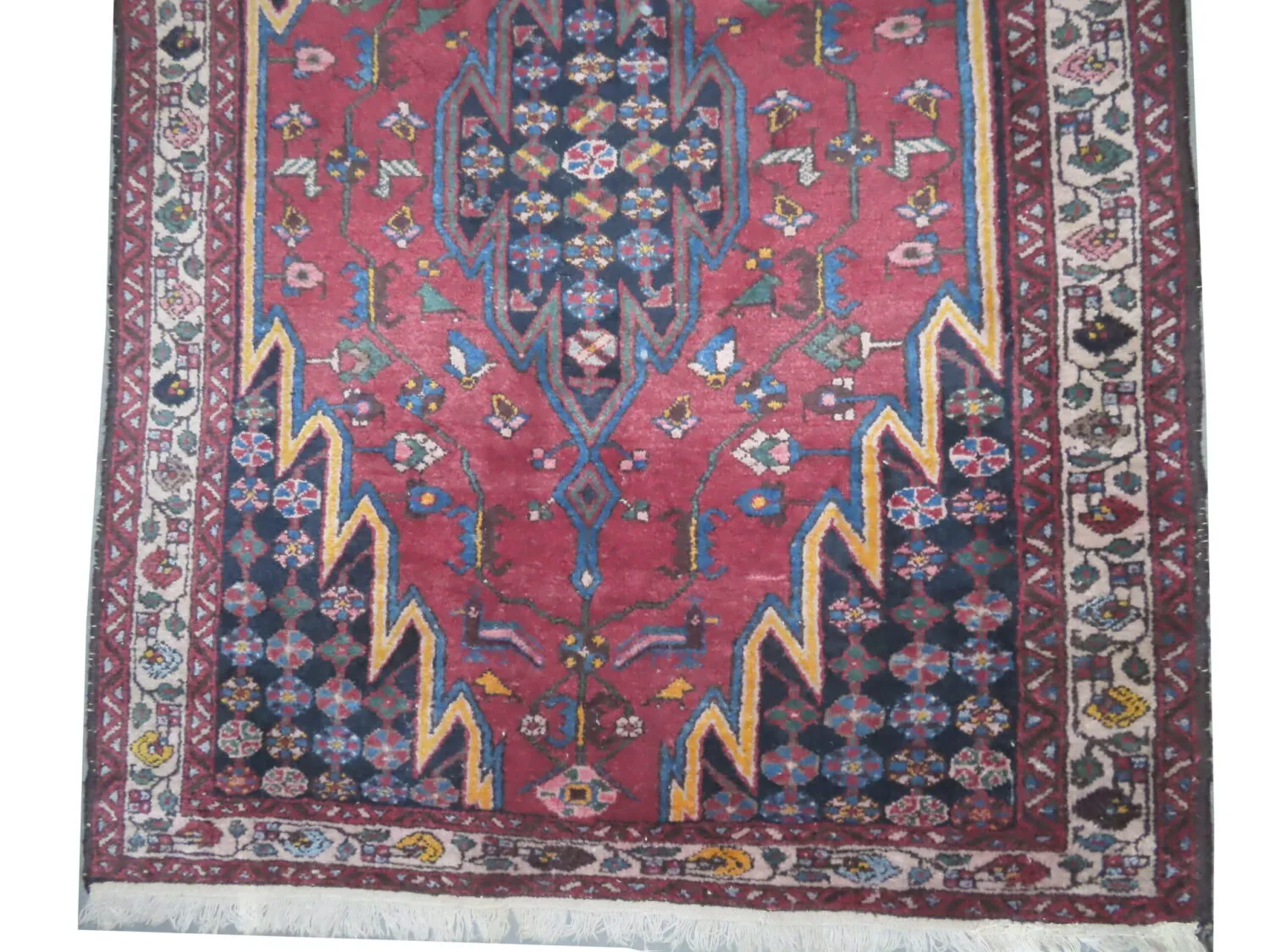 Noubaran Persian - Image 2