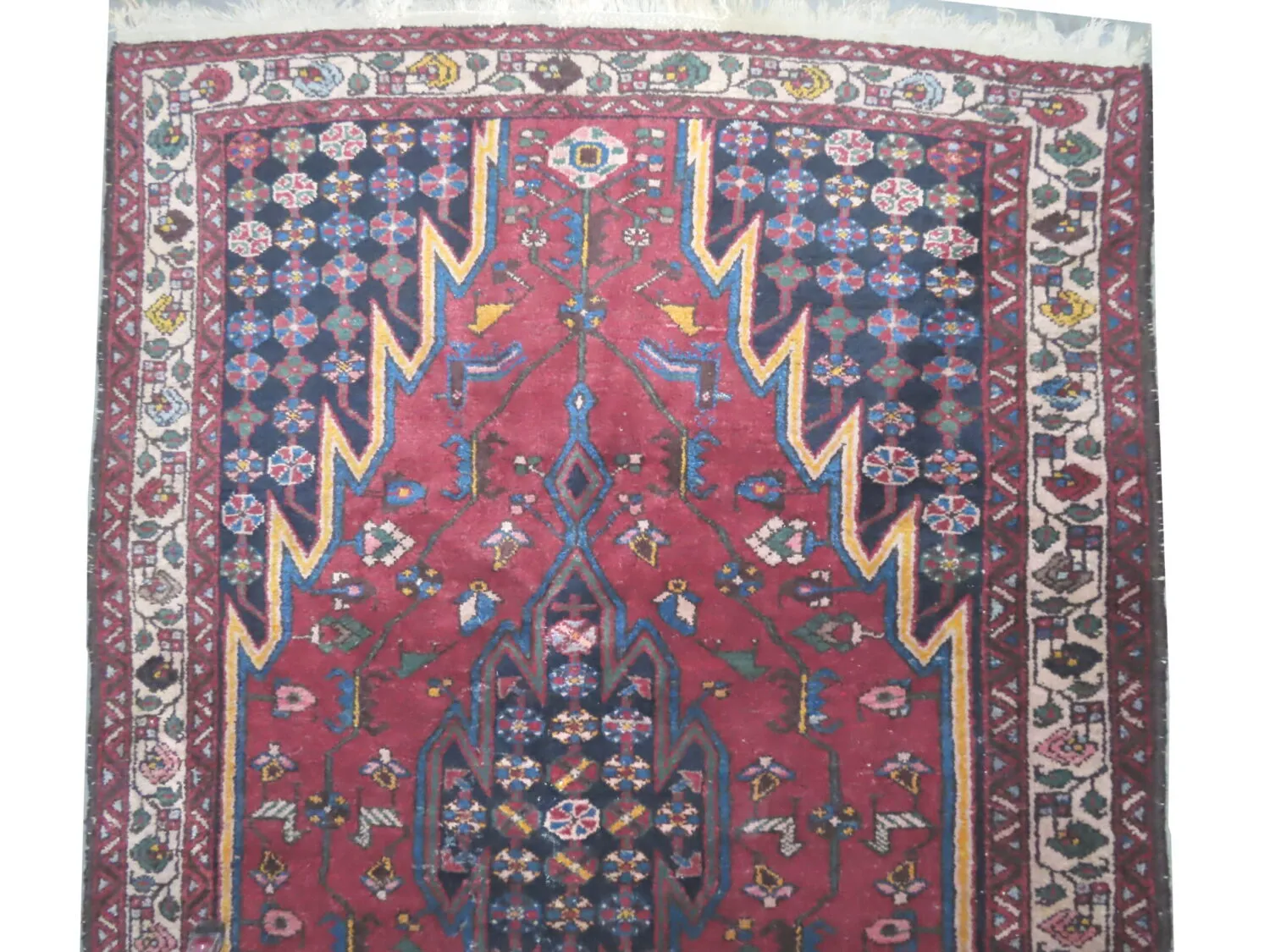 Noubaran Persian - Image 3
