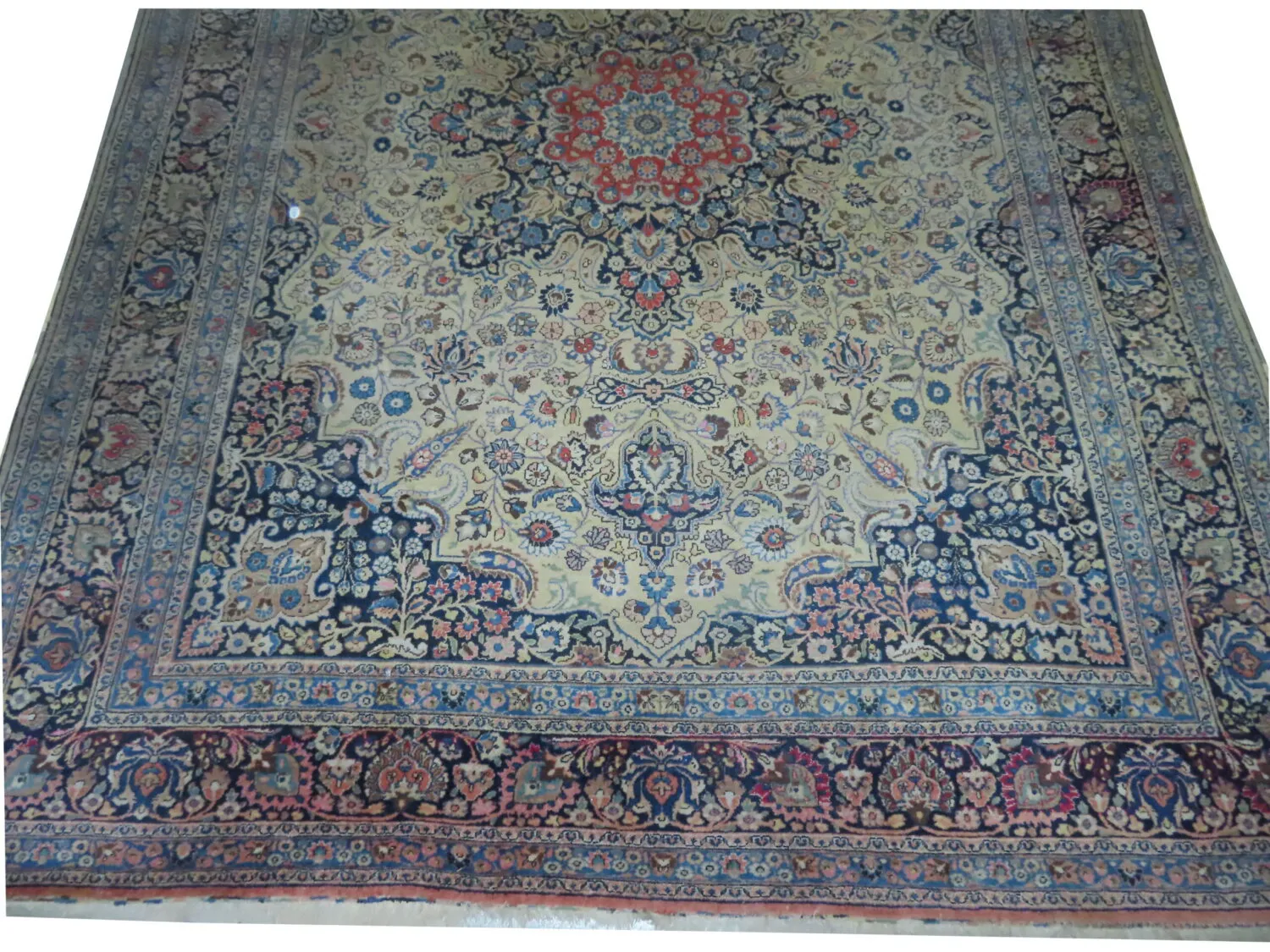 Dorosh Persian - Image 3