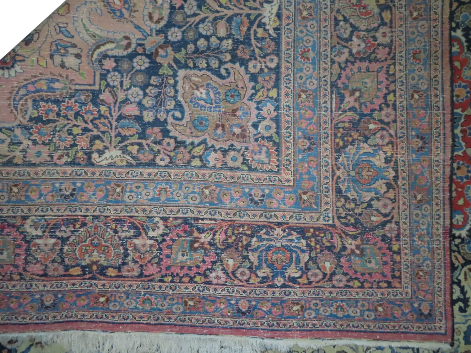Dorosh Persian - Image 2