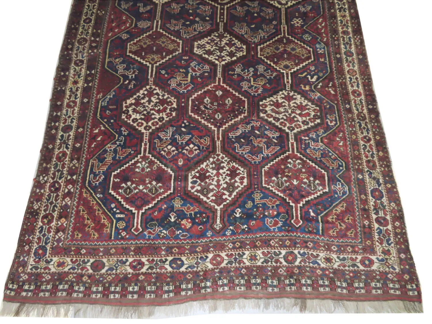 Qashqai Persian - Image 3