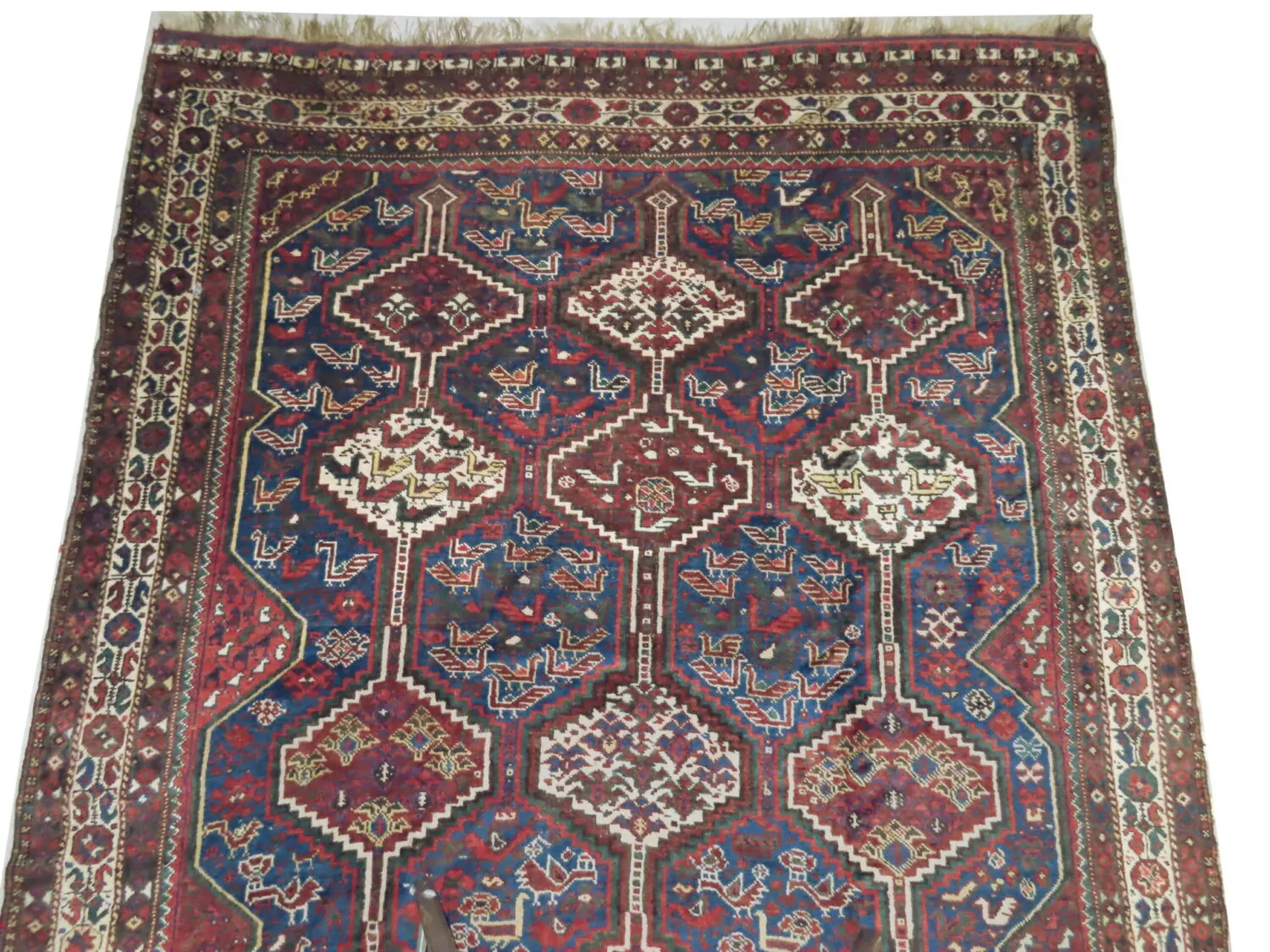 Qashqai Persian - Image 2