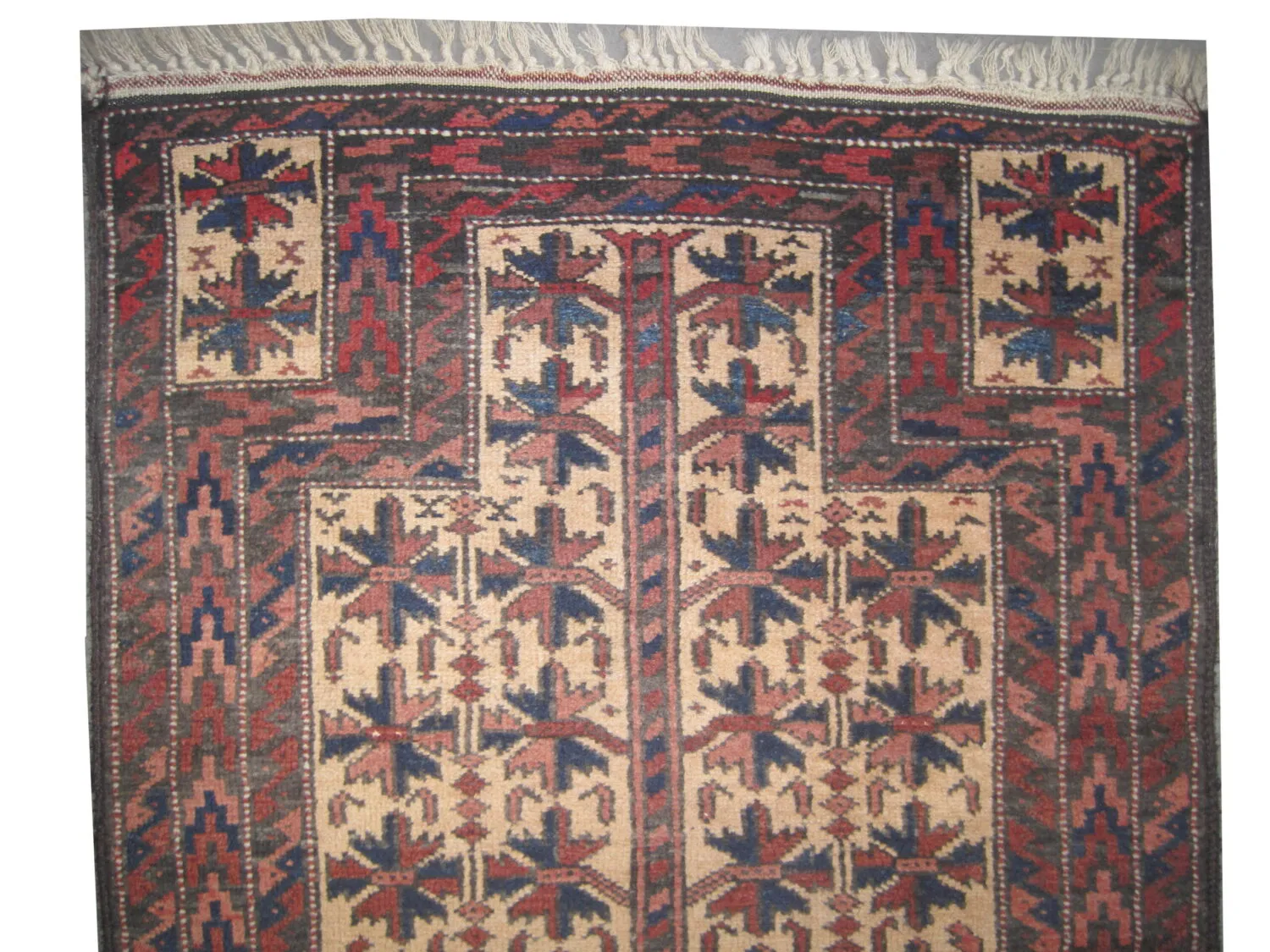 Belutsch Persian - Image 3