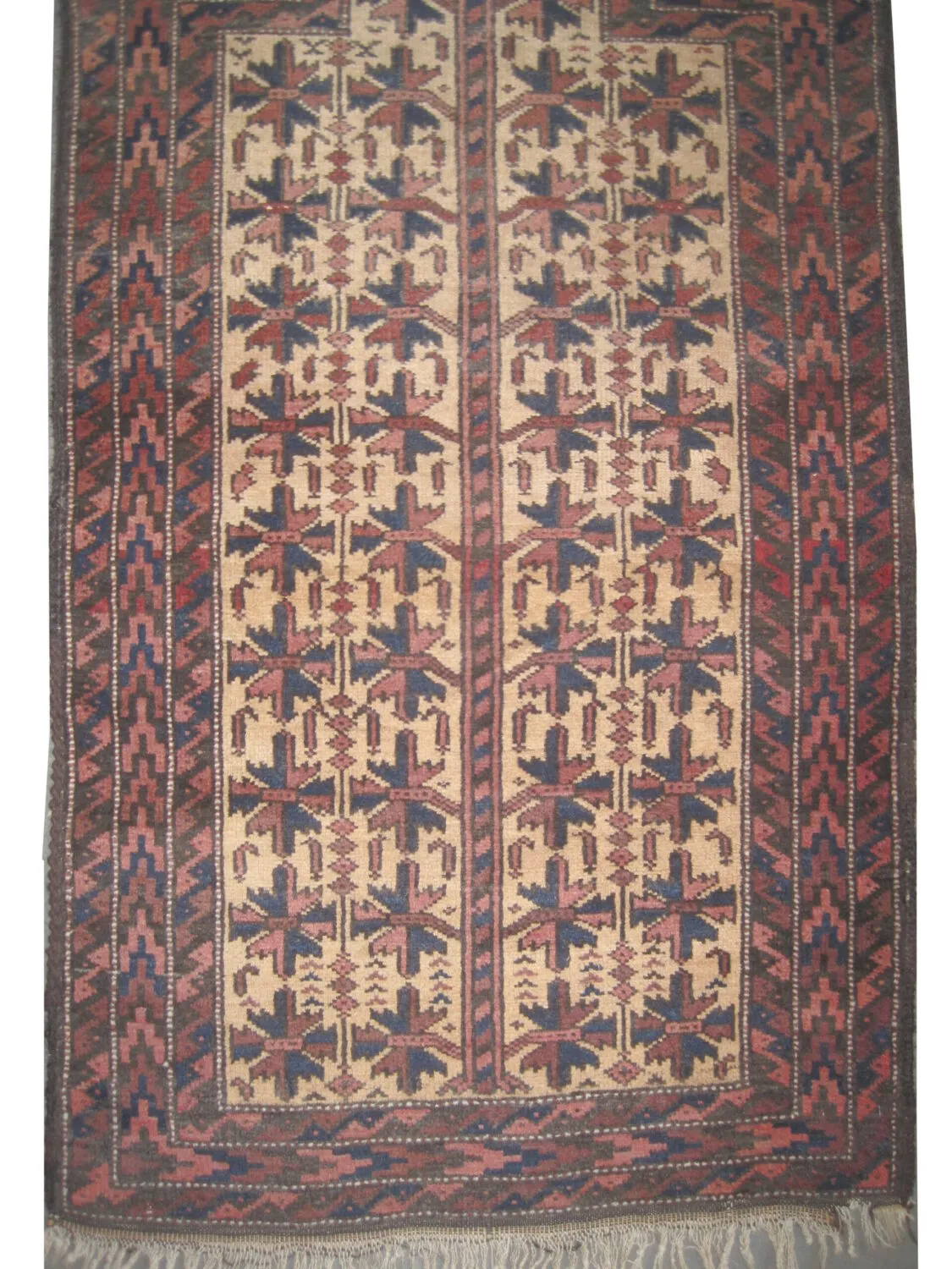 Belutsch Persian - Image 2