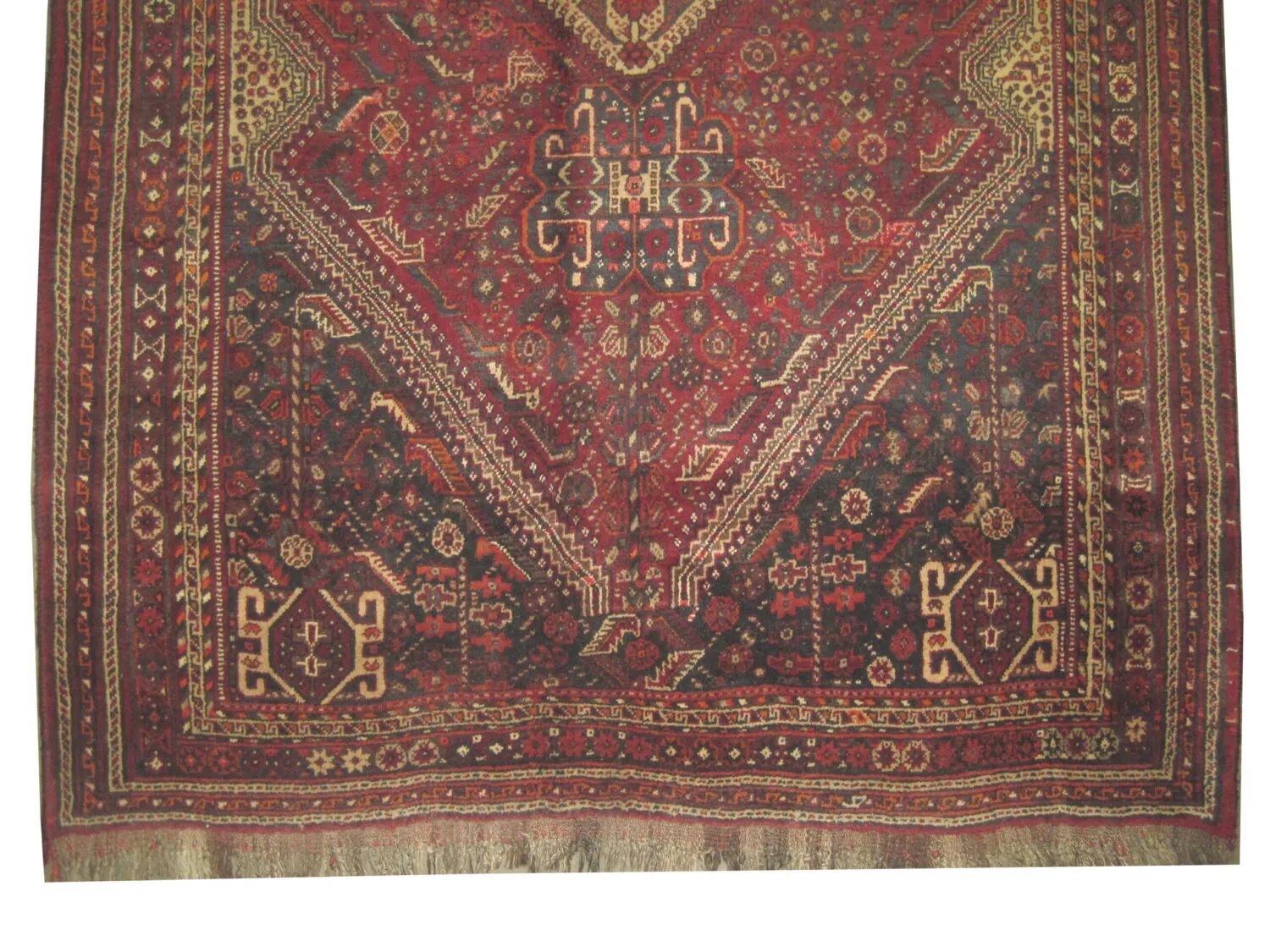 Qashqai Persian - Image 3