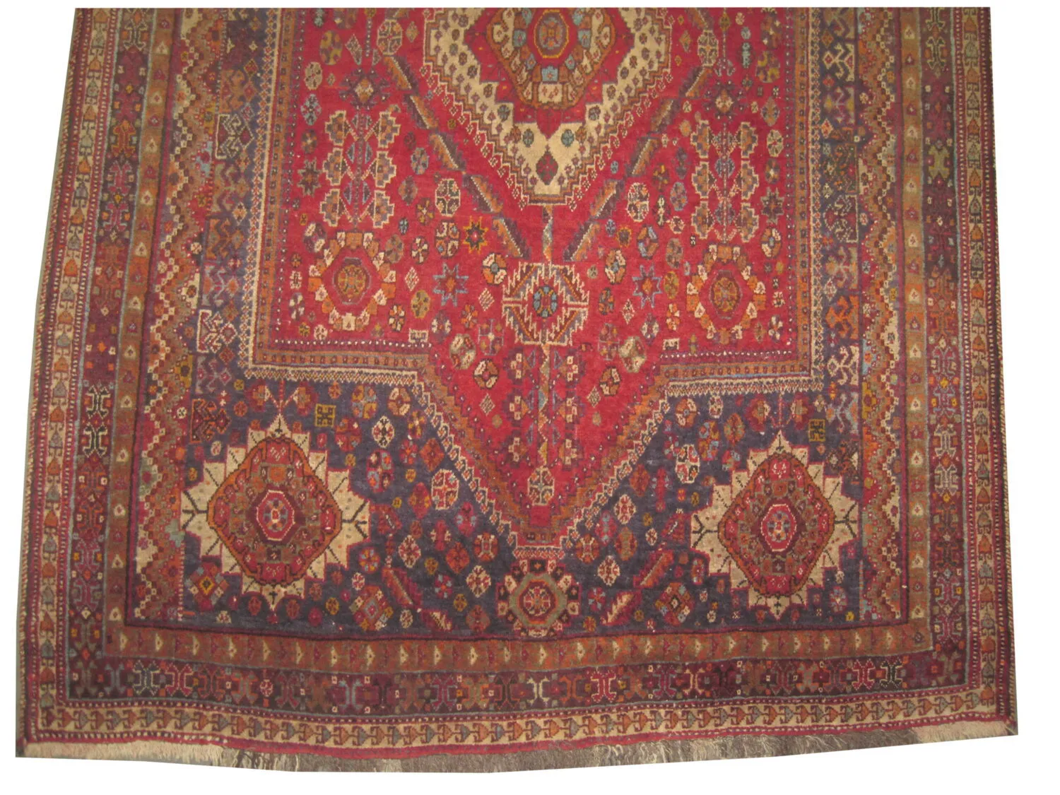Qashqai Persian - Image 3