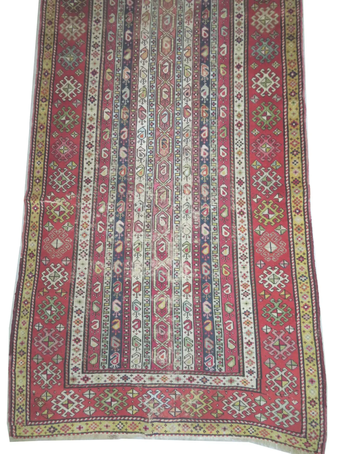 Saliani Caucasian - Image 5