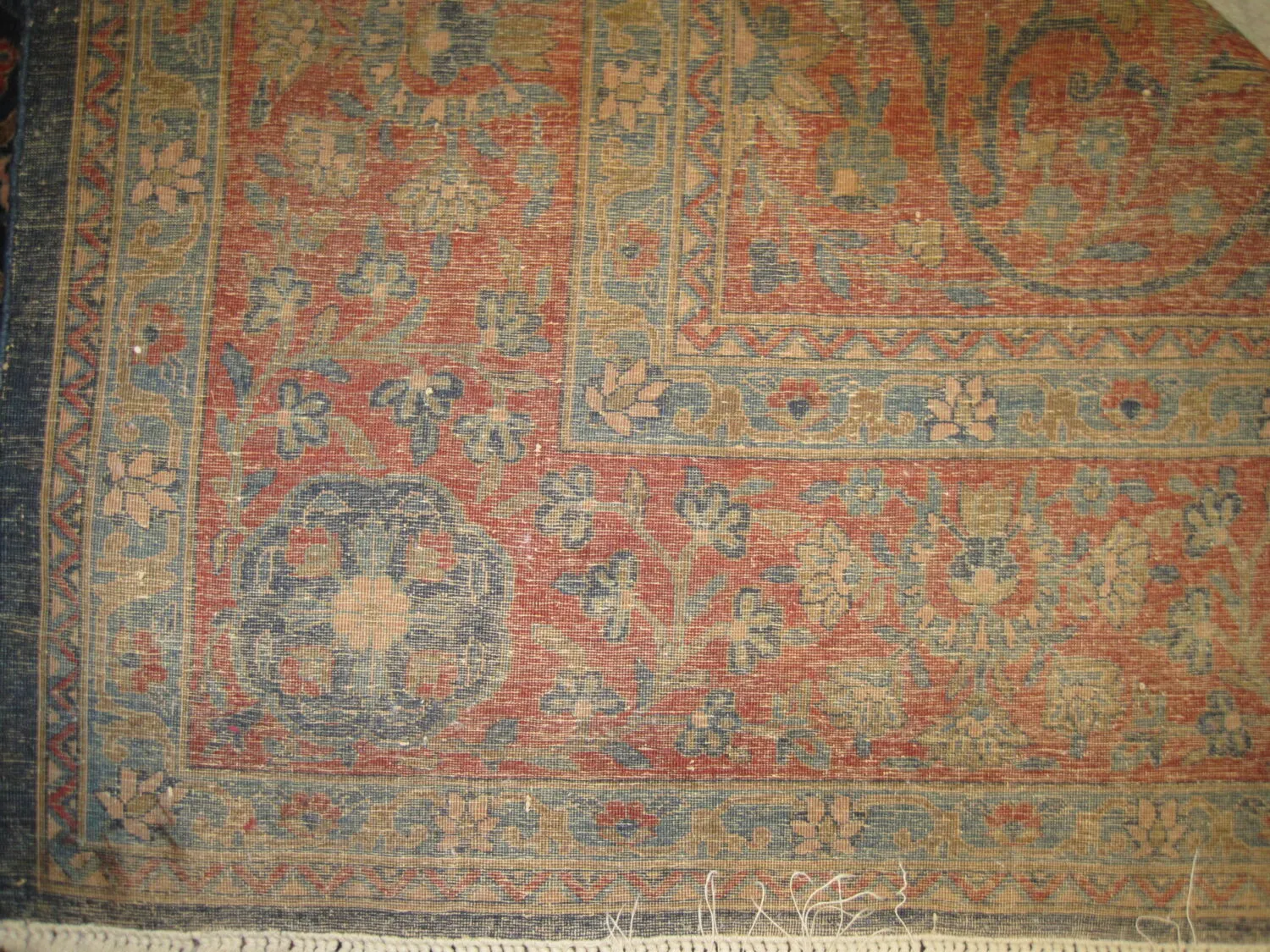 Mohtashem Kashan Persian - Image 2