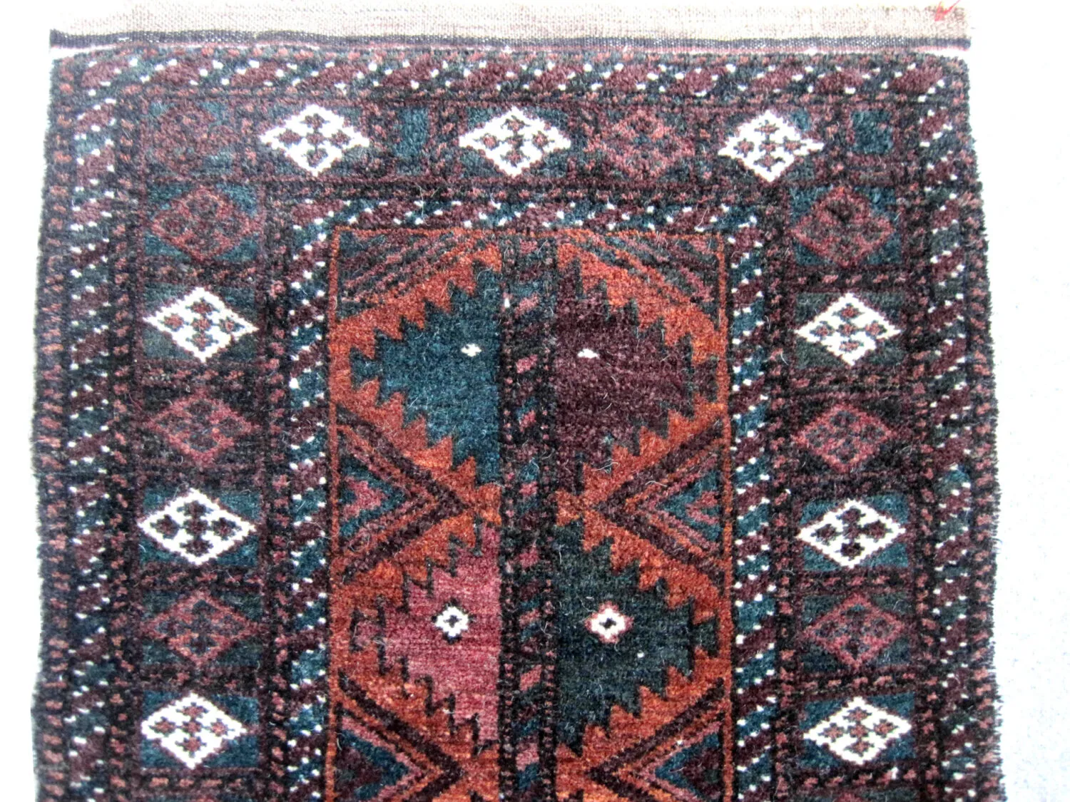 Belutsch Persian - Image 2