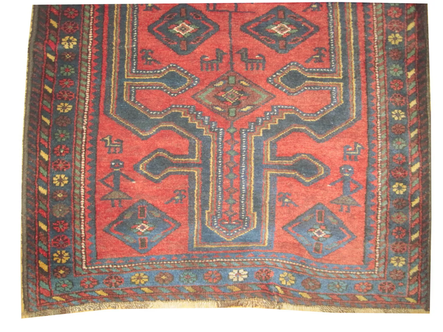 Kalardash Persian - Image 2