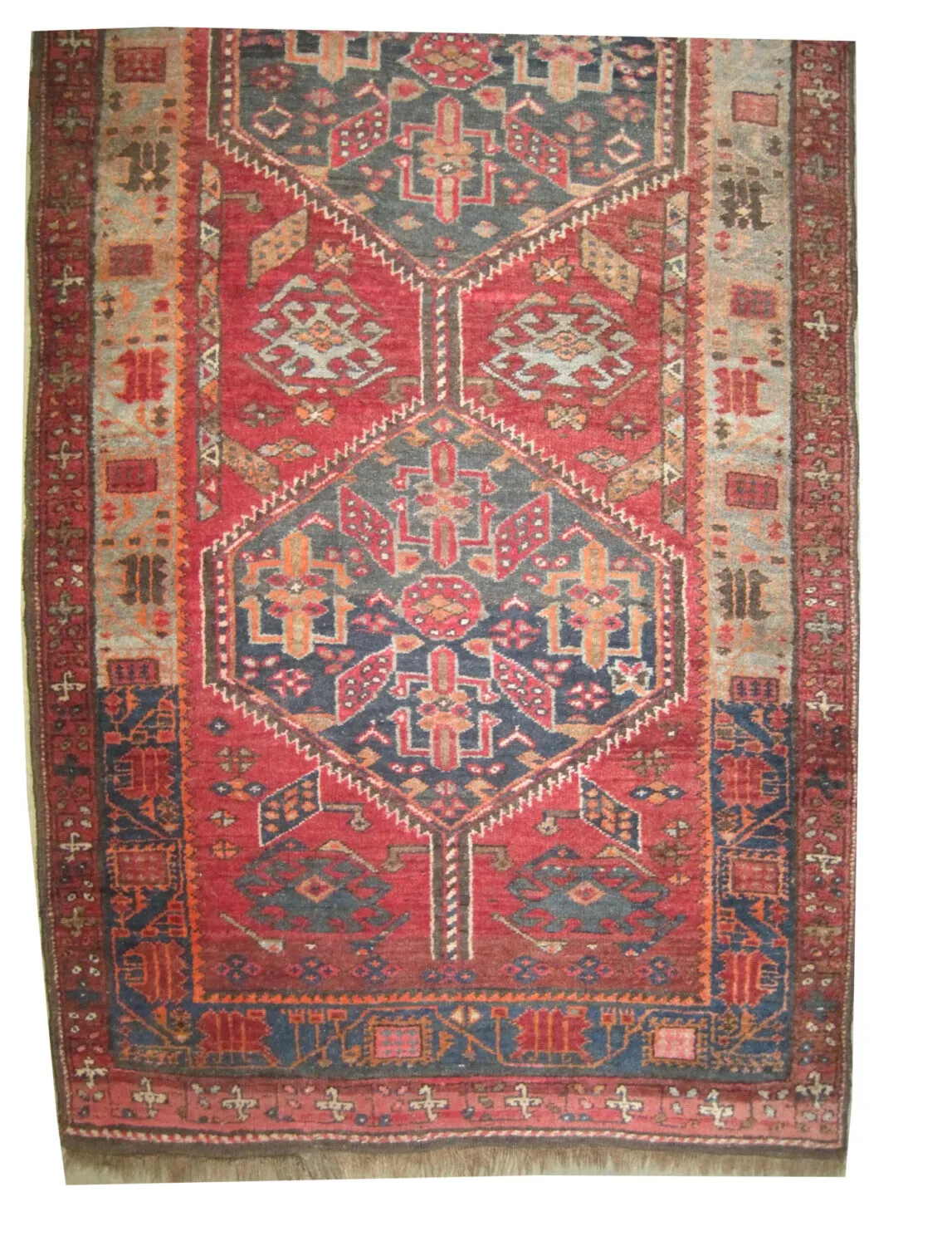 Sarab Persian - Image 2