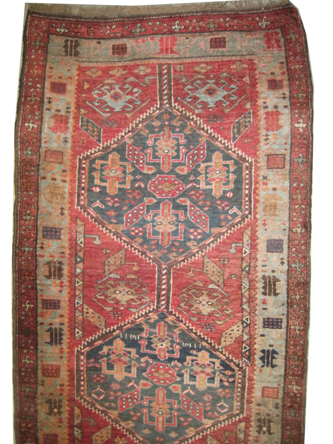 Sarab Persian - Image 3