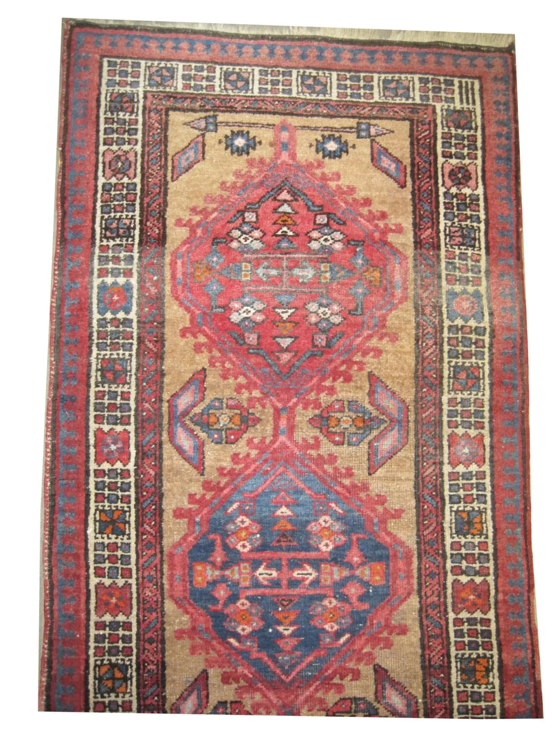 Sarab Persian - Image 3