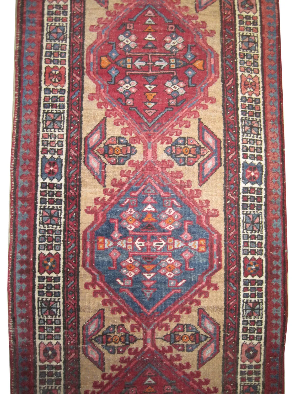 Sarab Persian - Image 2