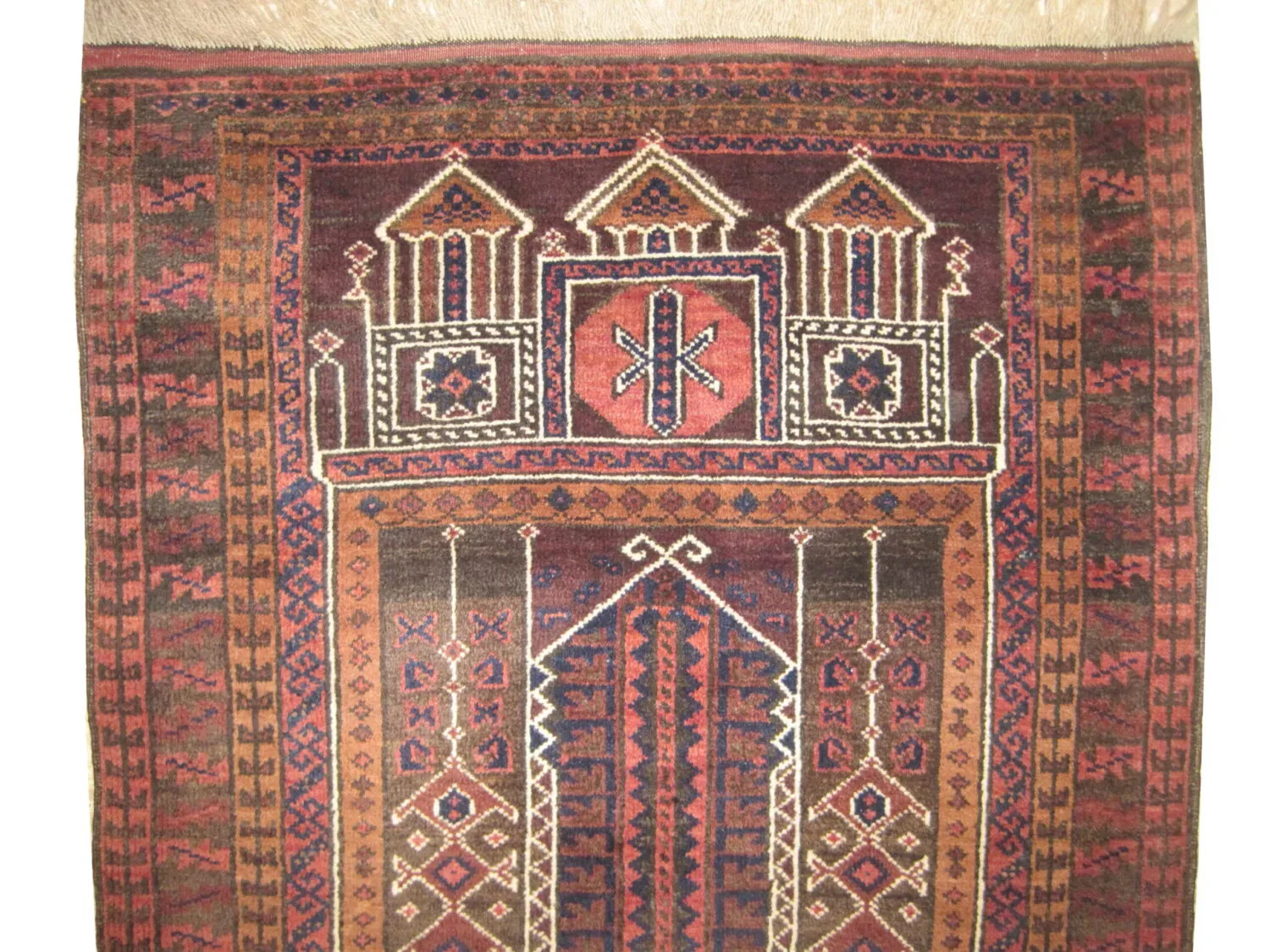 Belutsch Afghan - Image 3