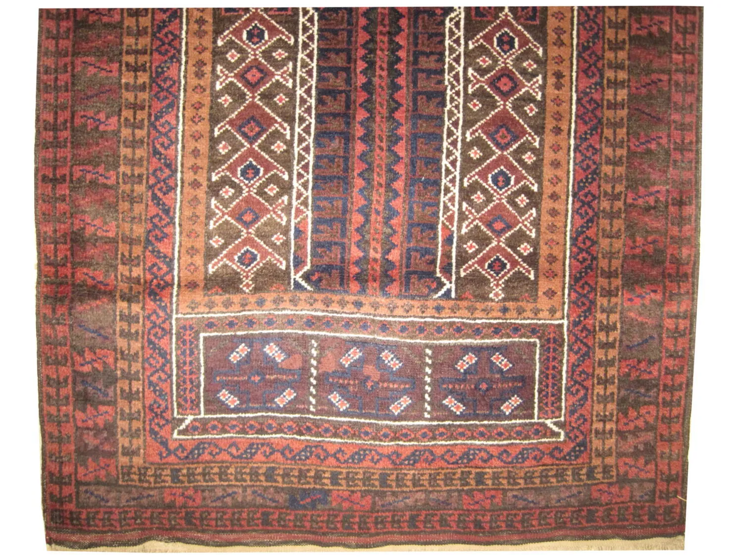 Belutsch Afghan - Image 2