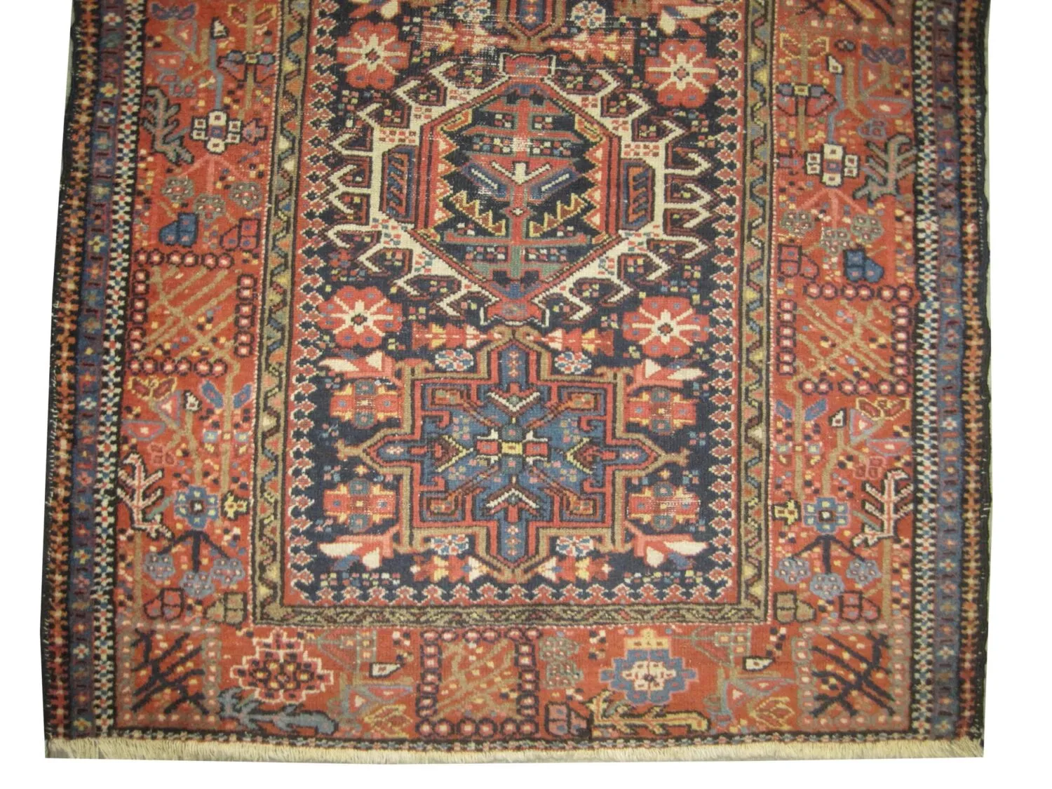 Karadja Persian - Image 2