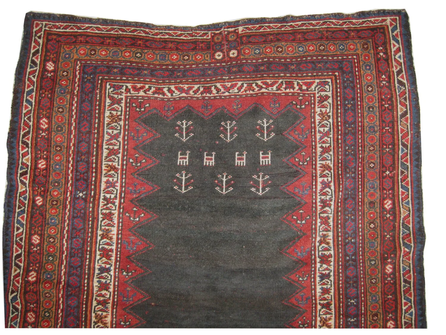 Horse Cover Afshar Persian - Image 4