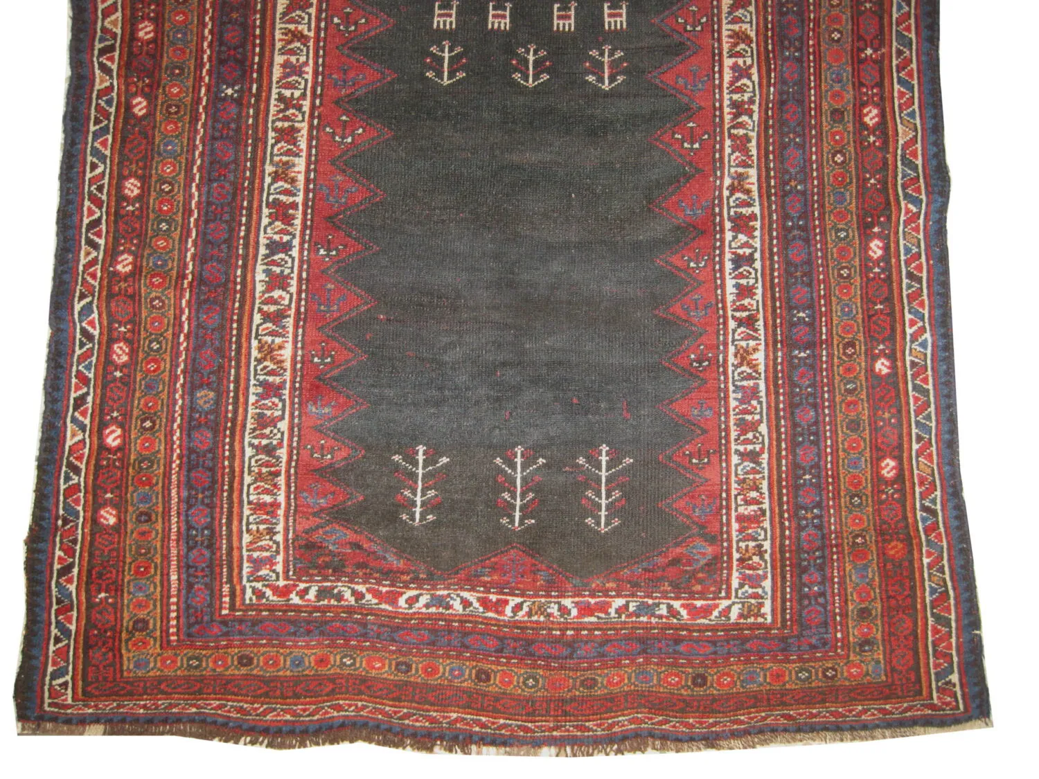 Horse Cover Afshar Persian - Image 3