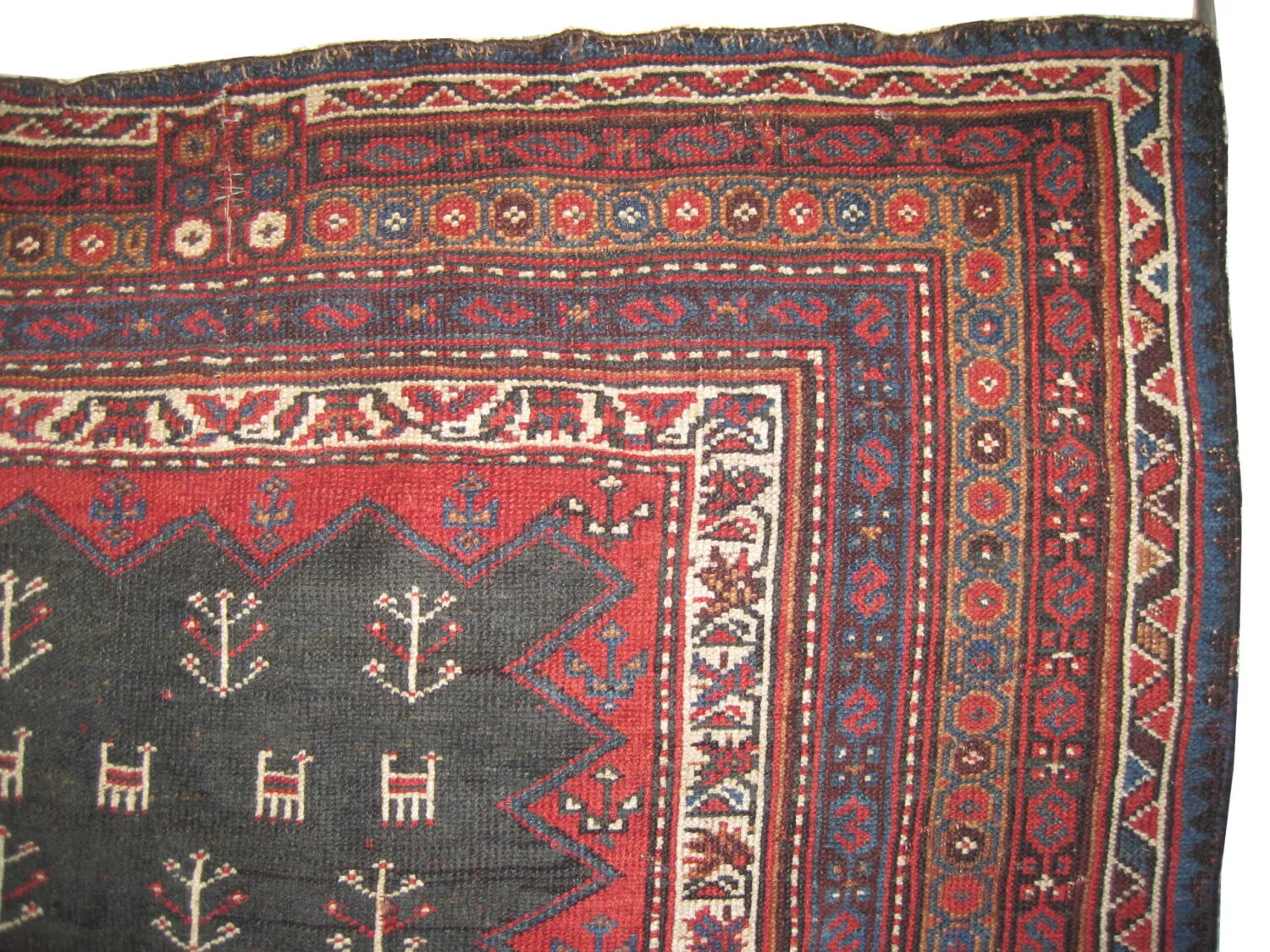 Horse Cover Afshar Persian - Image 2