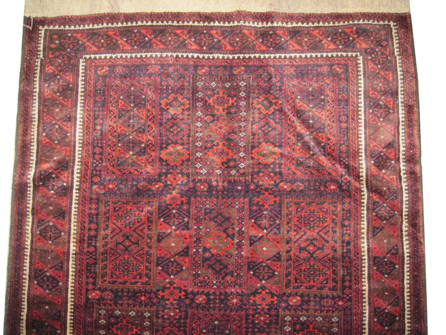 Belutsch Persian - Image 2