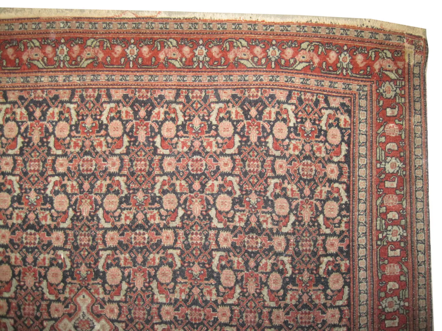 Senneh Kurdistan Persian - Image 2