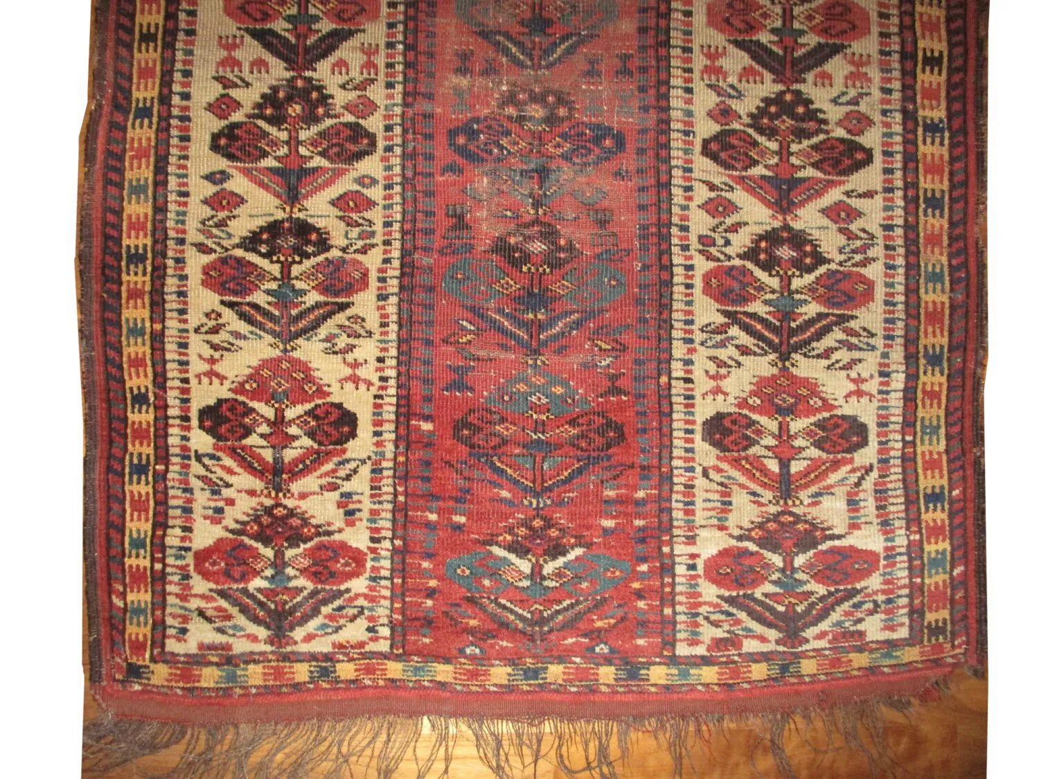 Beshir Turkmen - Image 5
