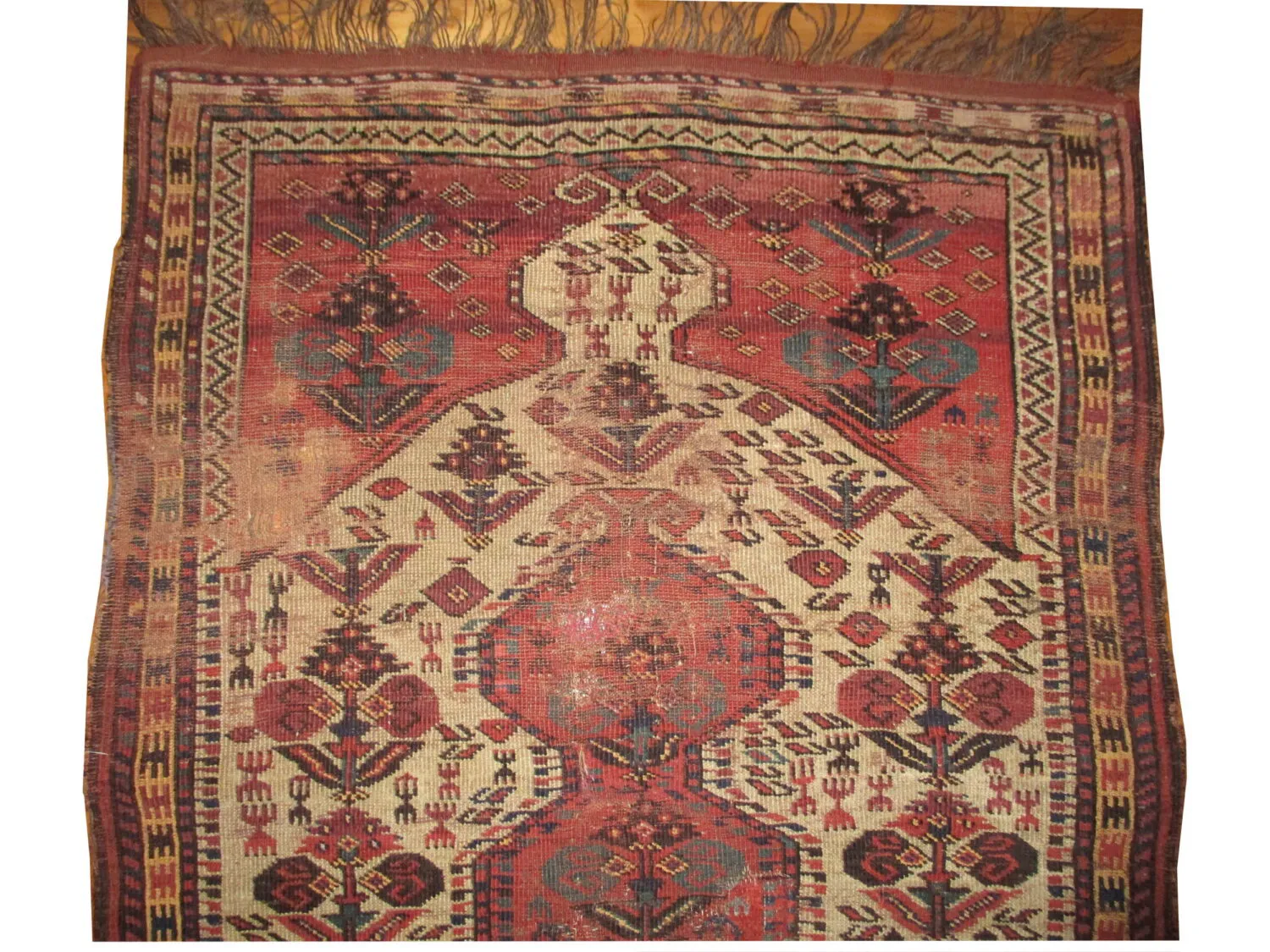 Beshir Turkmen - Image 4