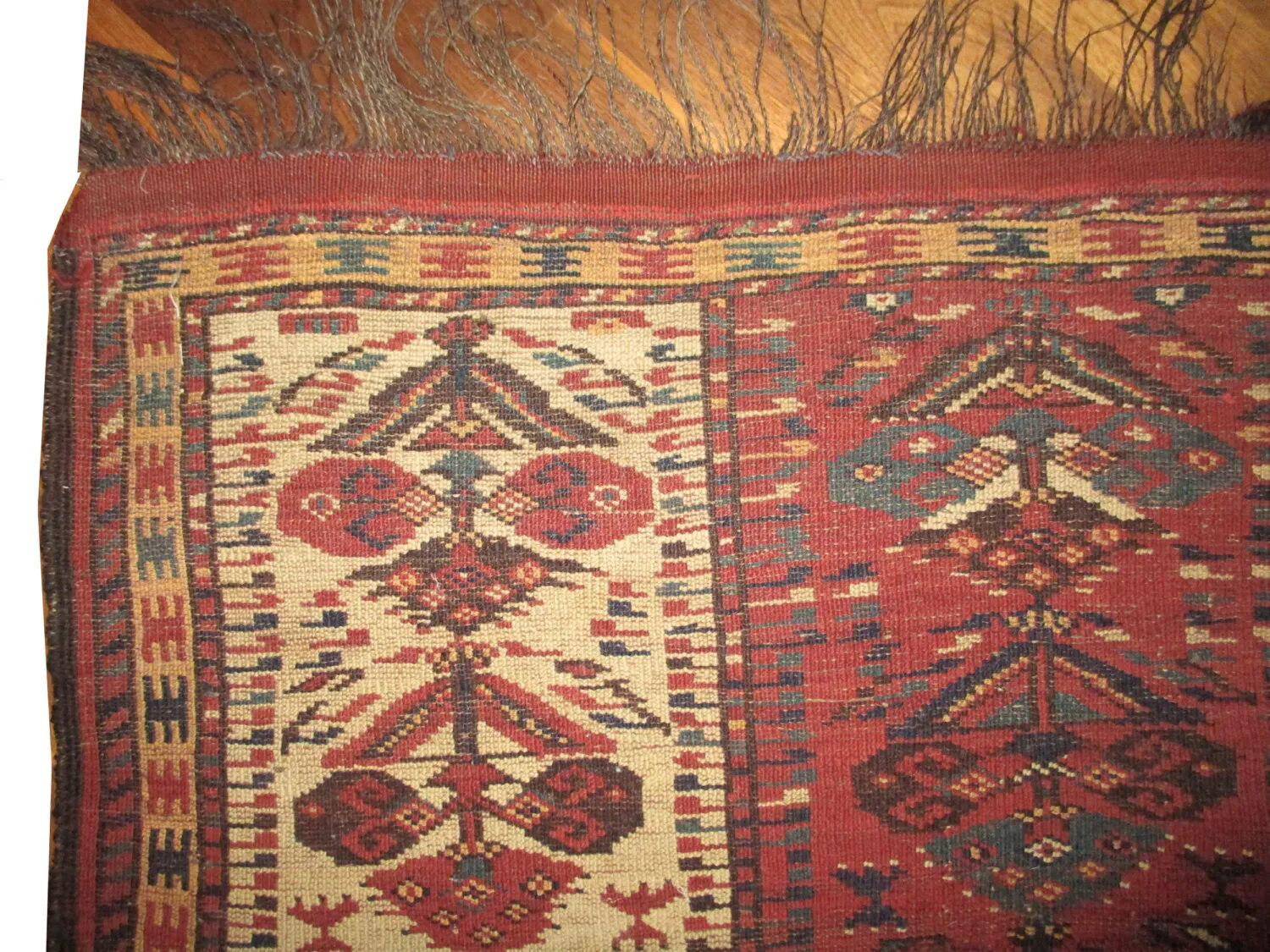 Beshir Turkmen - Image 3