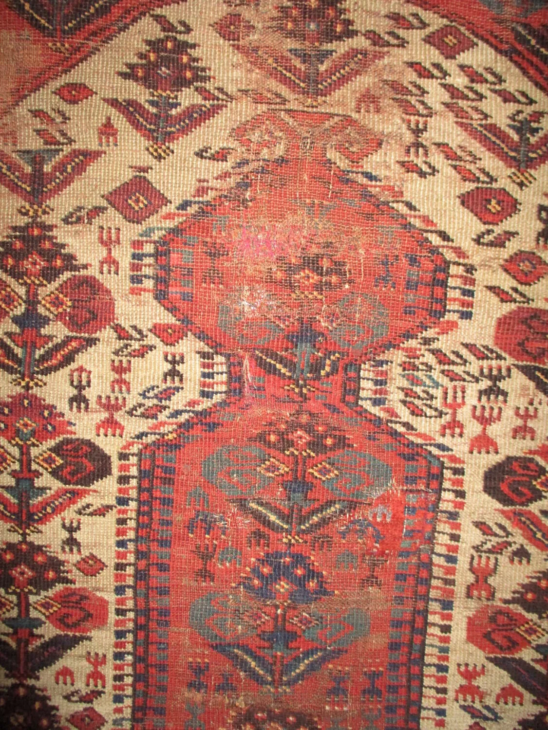 Beshir Turkmen - Image 2