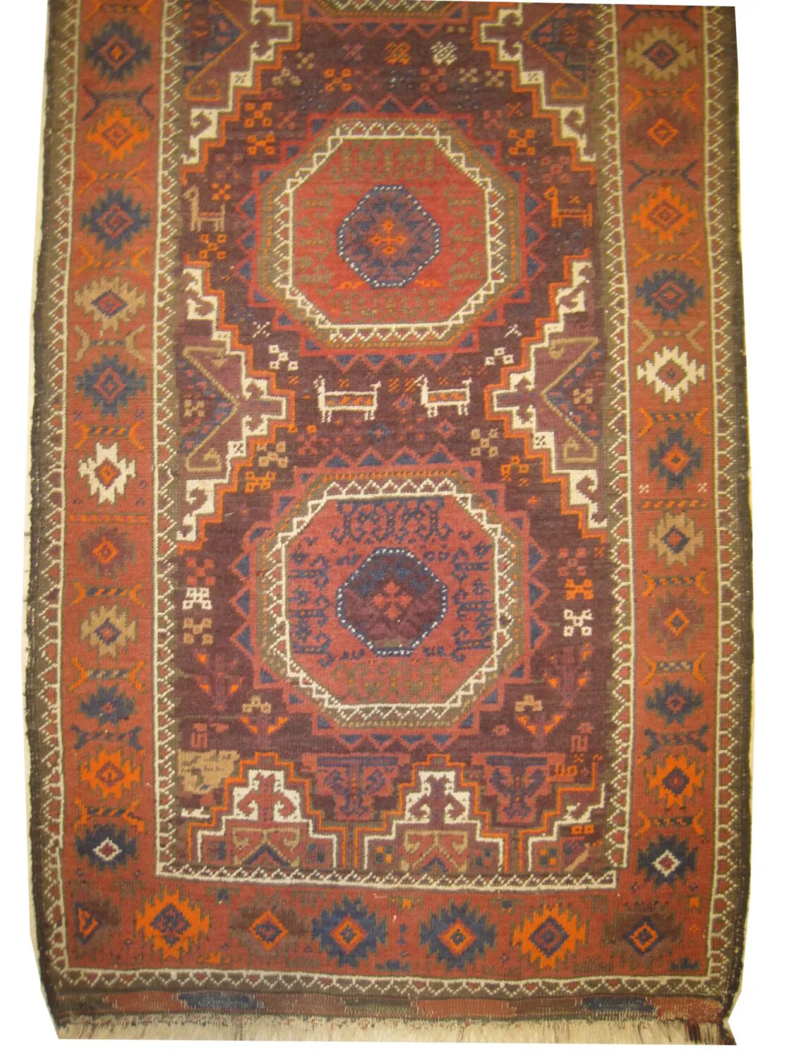 Belutsch Persian - Image 4