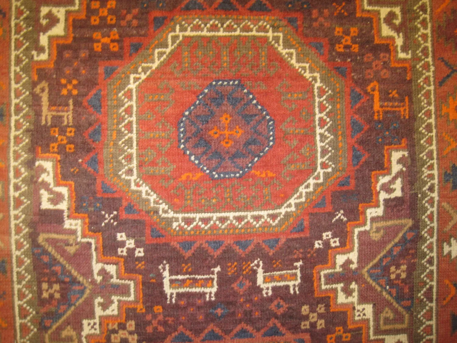 Belutsch Persian - Image 3