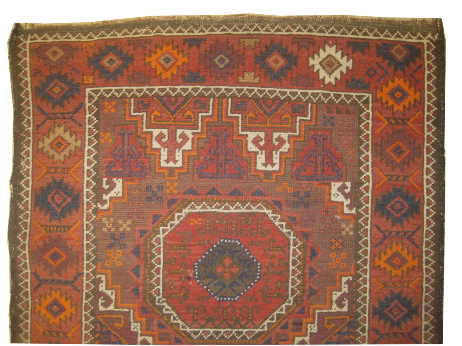 Belutsch Persian - Image 2