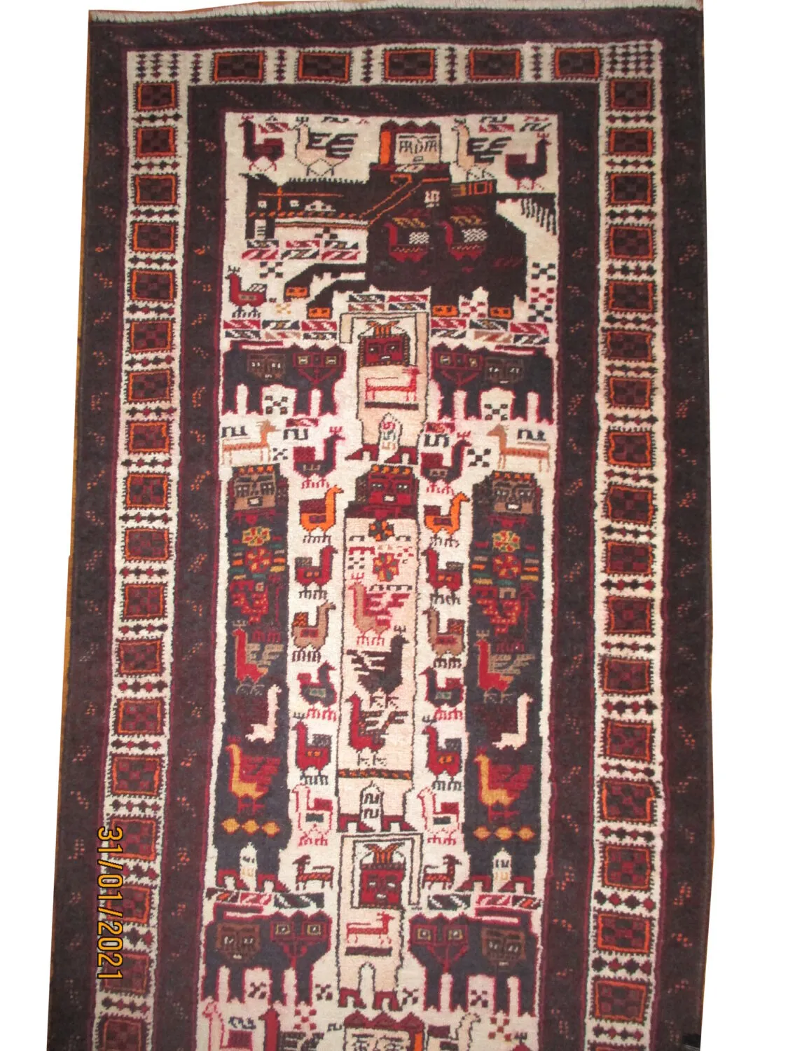 Belutsch Persian - Image 3