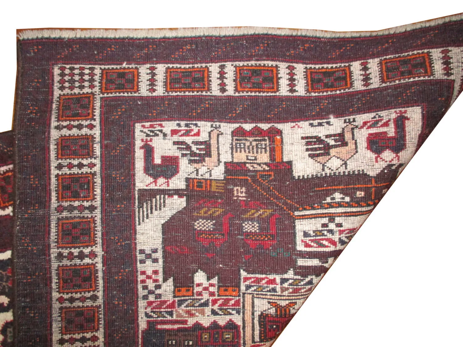 Belutsch Persian - Image 4