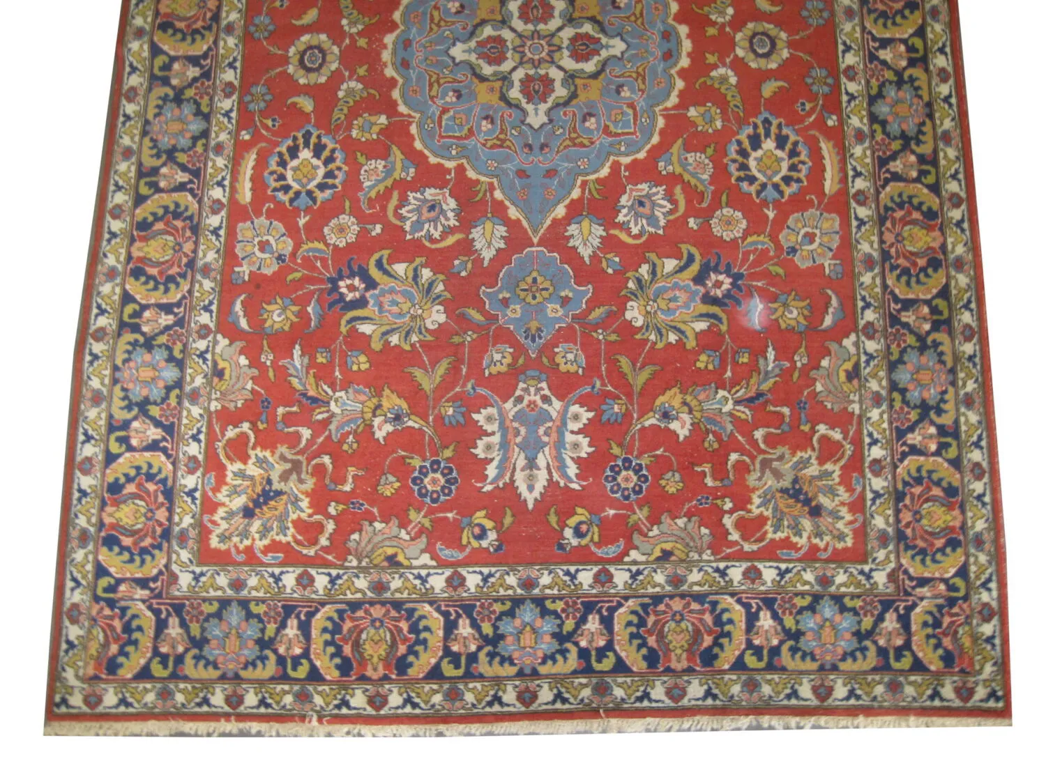 Tabriz Persian - Image 4