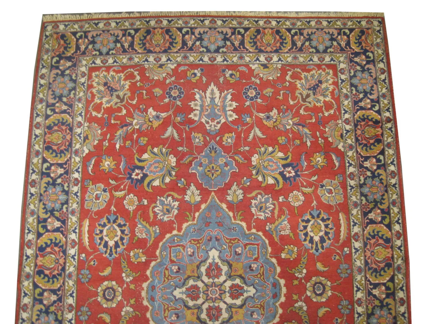 Tabriz Persian - Image 3
