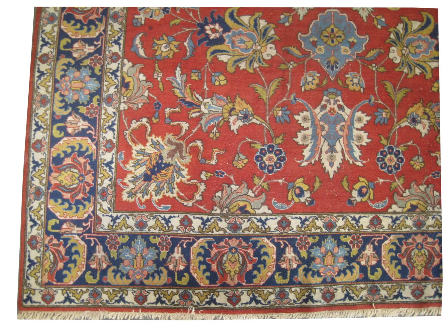 Tabriz Persian - Image 2