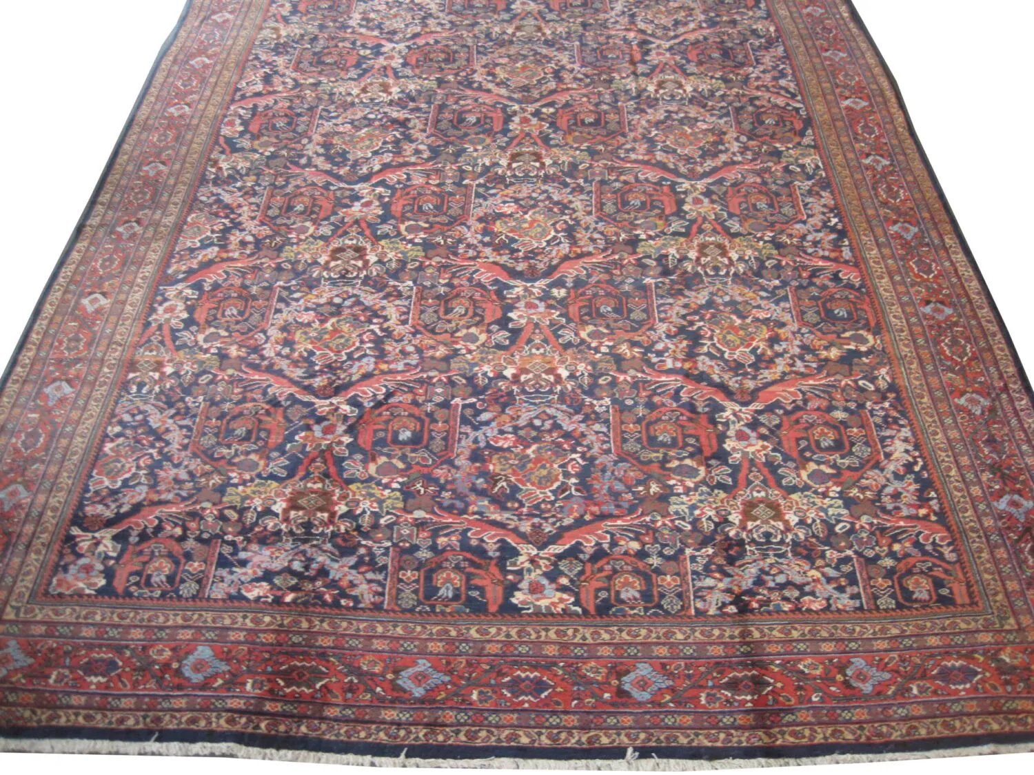 Mahal Persian - Image 5